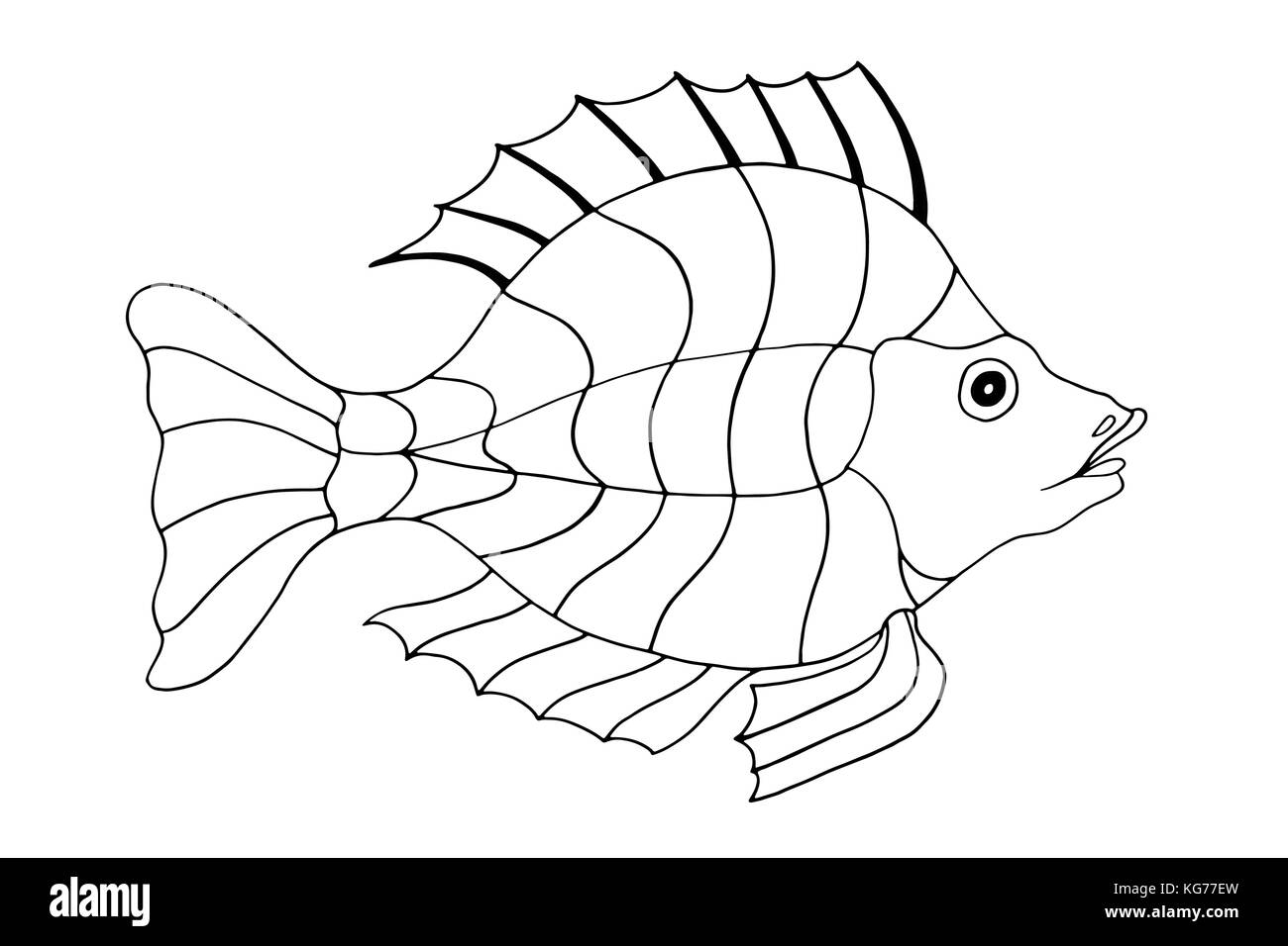 Hand Drawn Fish. vector illustration isolated on white background ...