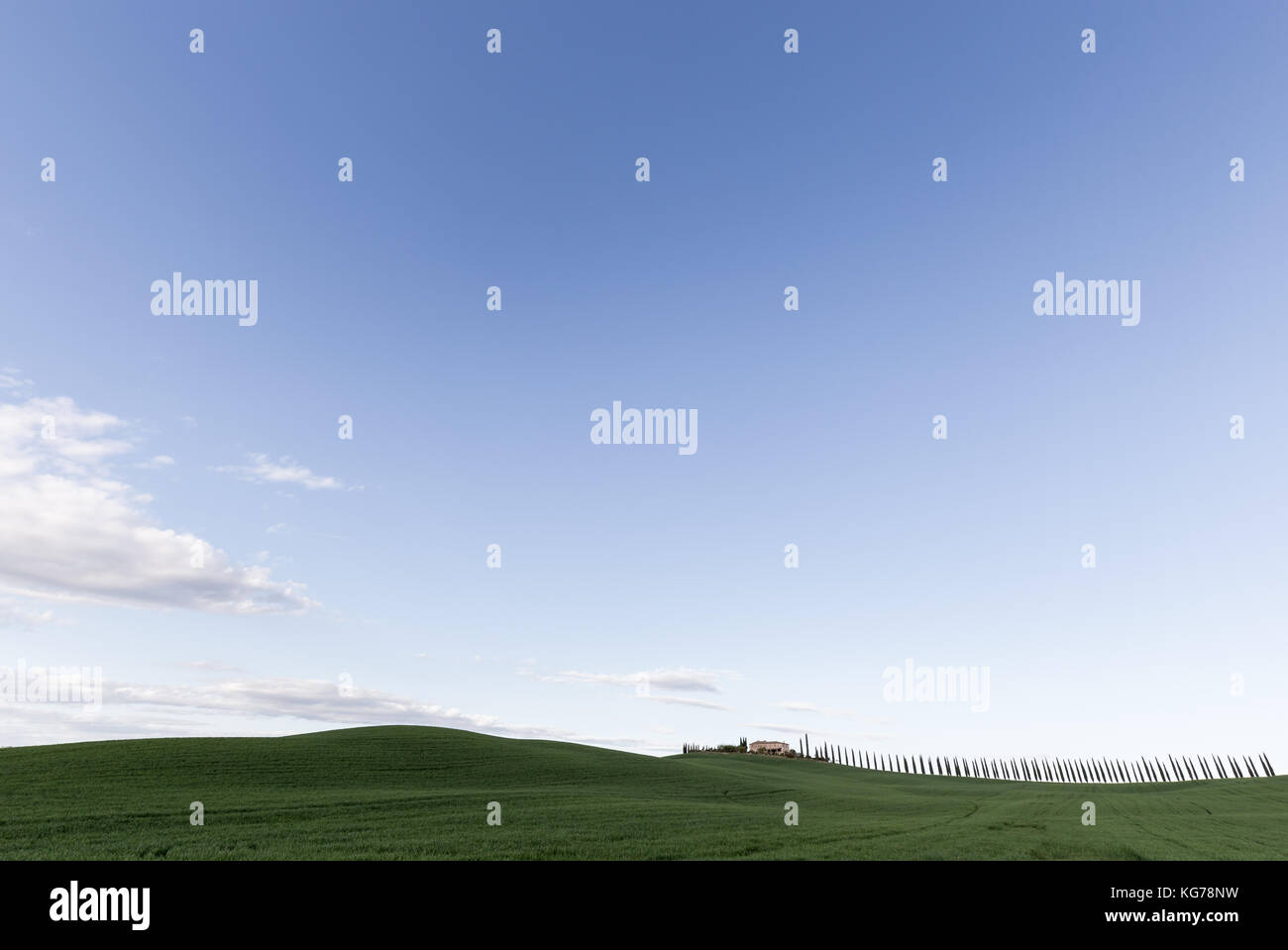 Minimalism view of  green hills and a rural house with a long line of cypresses in Tuscany, beneath a blue, almost empty sky Stock Photo