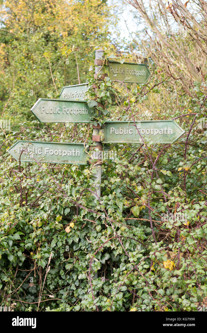 multiple footpath signs overgrown with ivy in the Cotswolds, England, UK Stock Photo