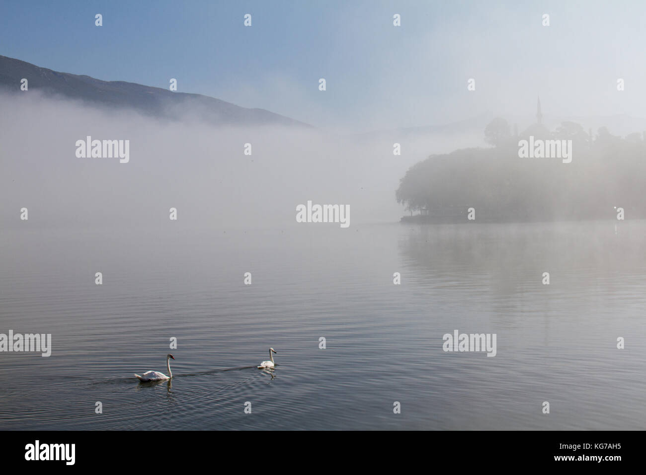 Atmospheric scene of swans on Lake Pamvotis on a misty morning in Ioannina, Greece, with Aslan Pasha mosque in the background Stock Photo