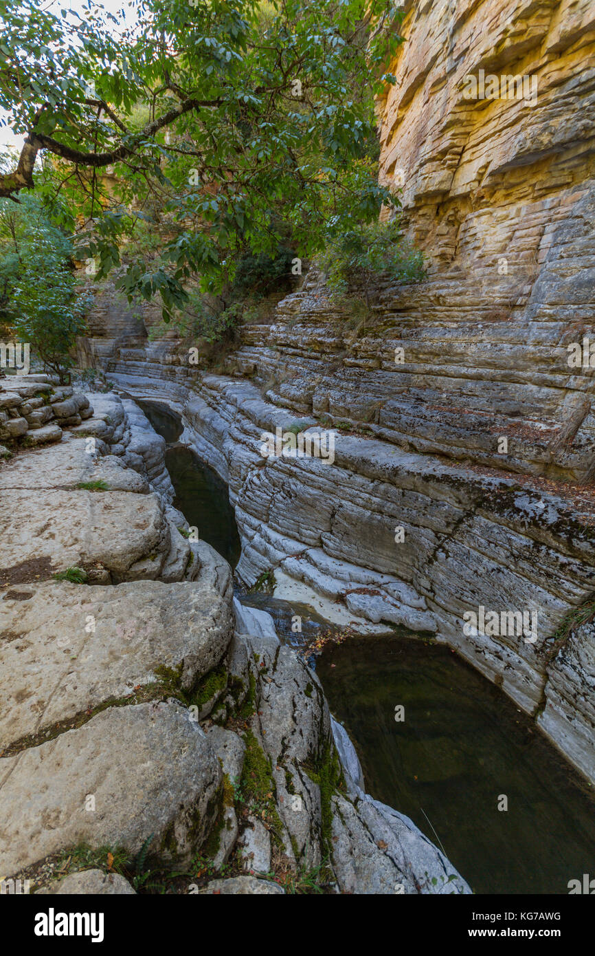 Papingo Rock Pool formations and overhanging tree branch near Papingo