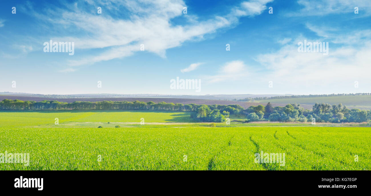 green field and blue cloudy sky Stock Photo - Alamy