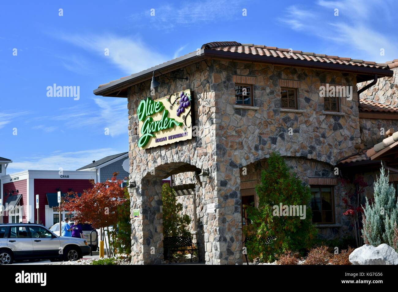 Olive Garden Stock Photo