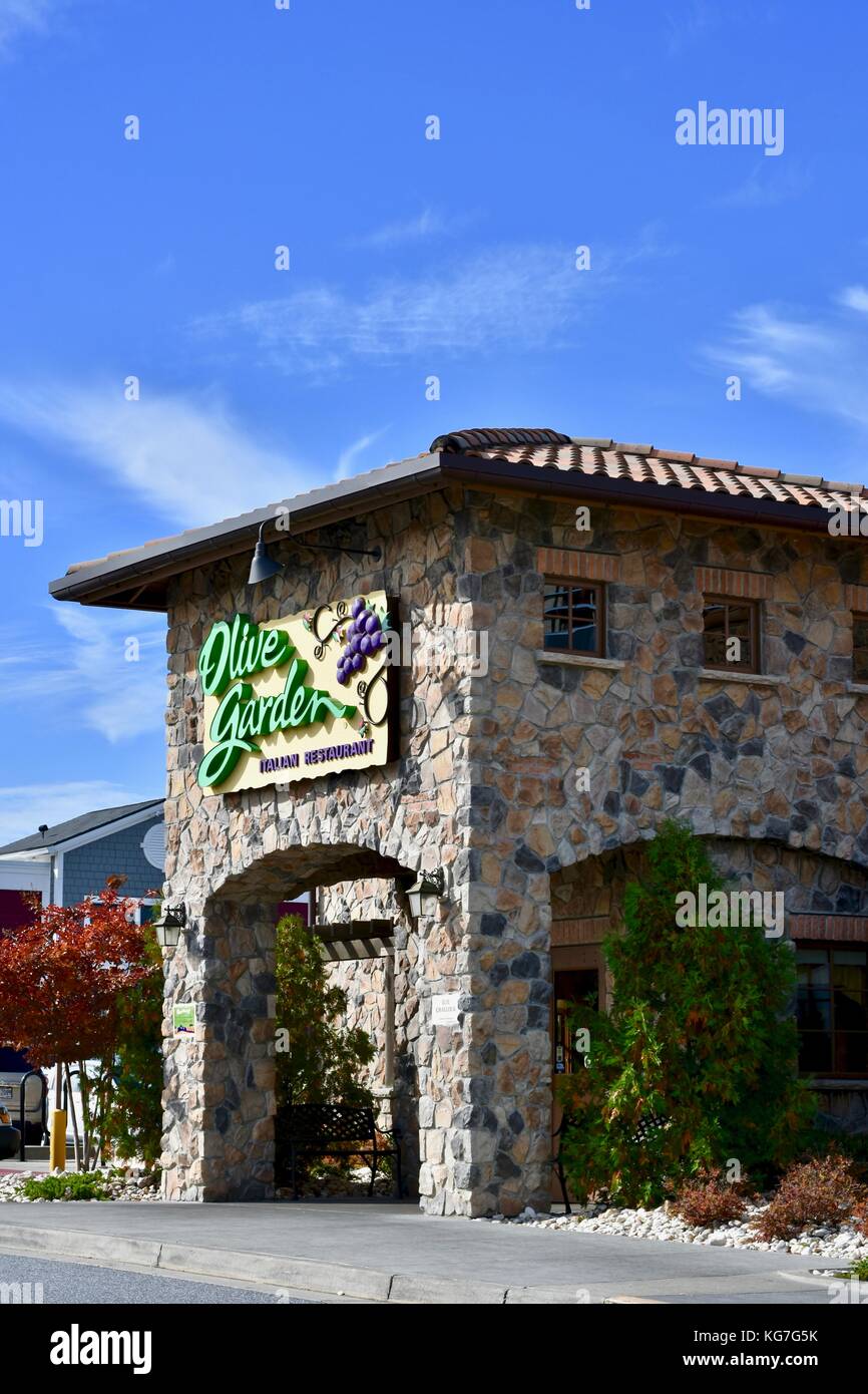 Olive Garden Stock Photo