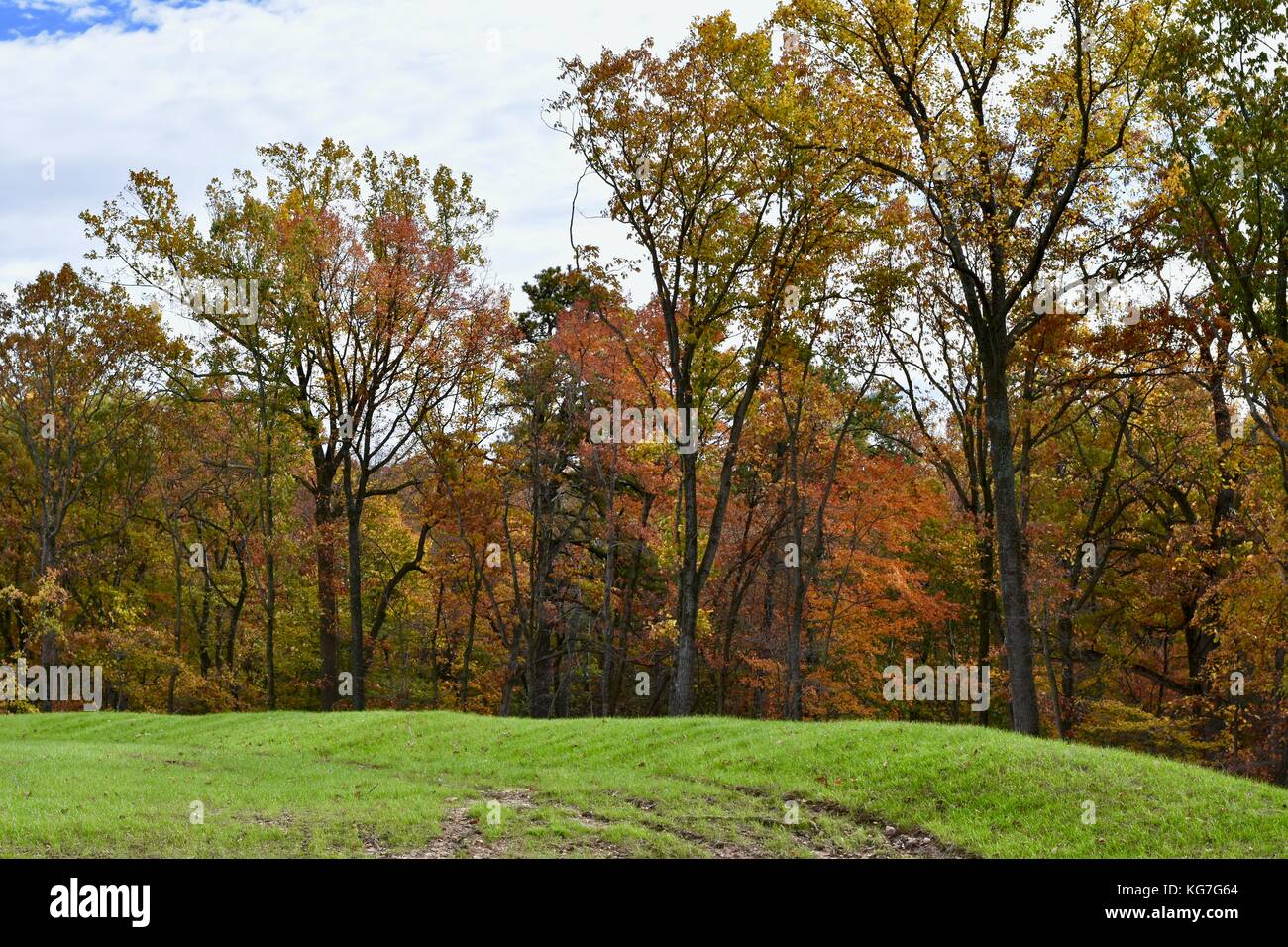 Autumn season with beautiful trees Stock Photo - Alamy
