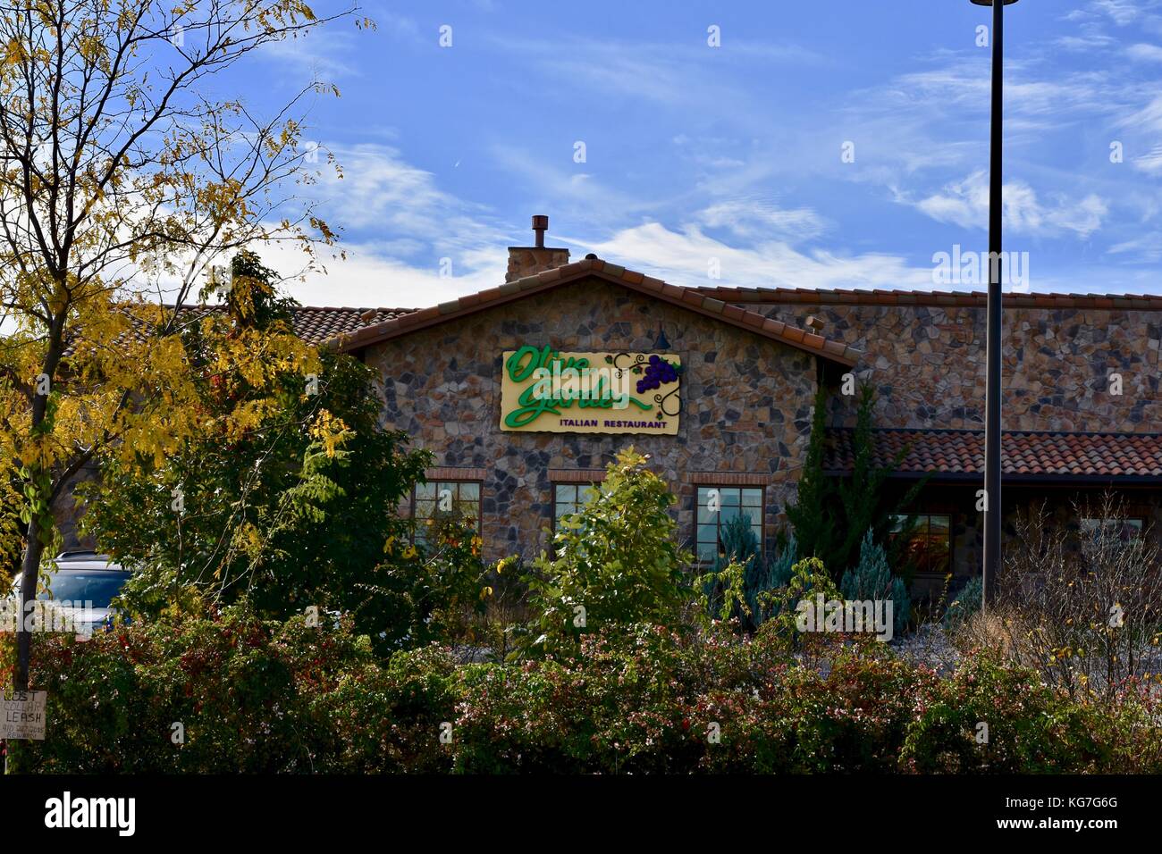 Olive Garden Stock Photo