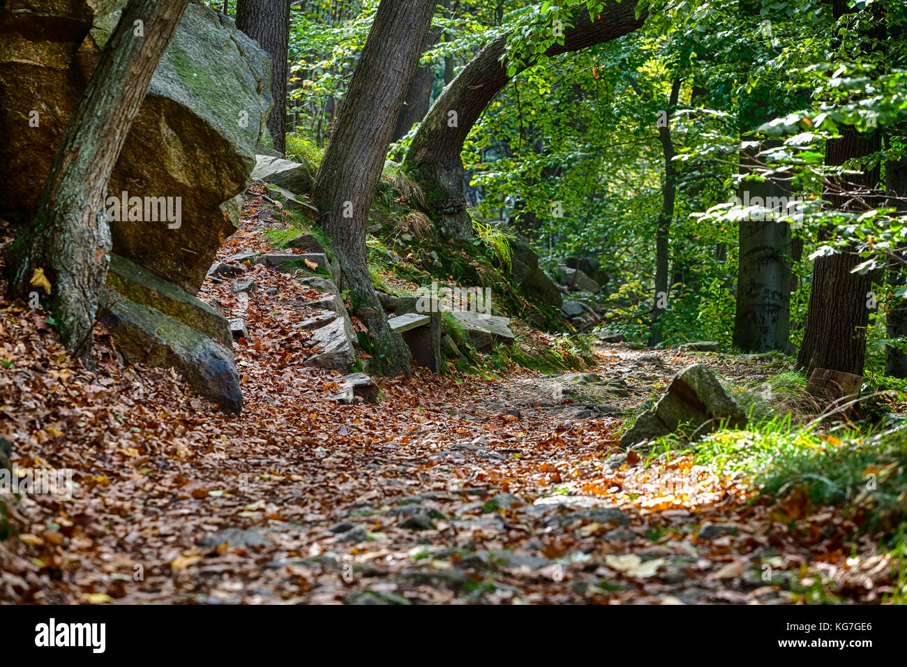 Wanderweg Bodetal im Herbst Harz Stock Photo - Alamy