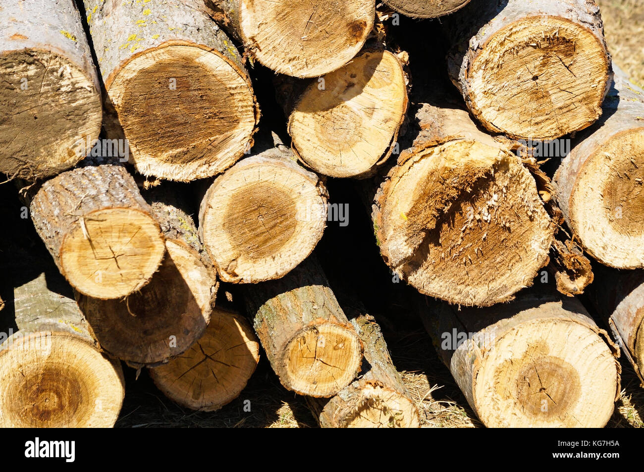 Electric chain saw pile hi-res stock photography and images - Alamy