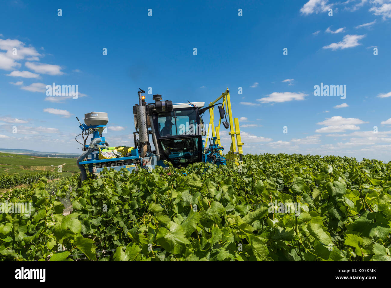Oger hi-res stock photography and images - Alamy