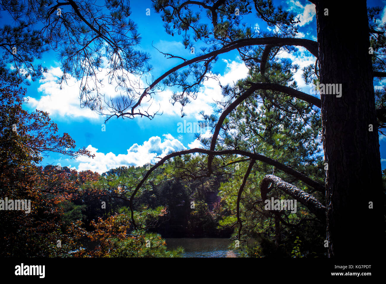 Vista, Great Neck Park, Shorehaven Drive, Virginia Beach, VA Stock