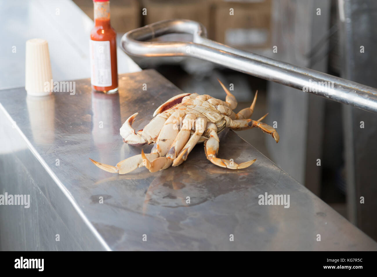 Single Crab on Food Counter at Fisherman's Wharf, San Francisco Stock