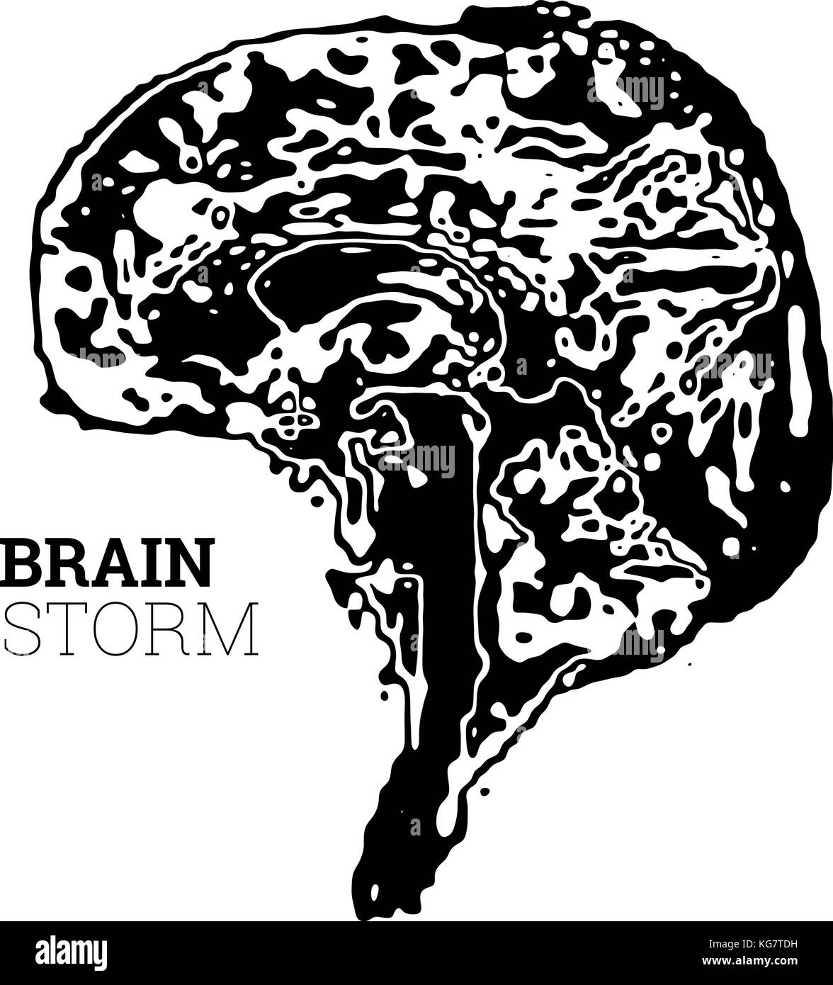 The brain in the form of a topographic map. The concept of modern