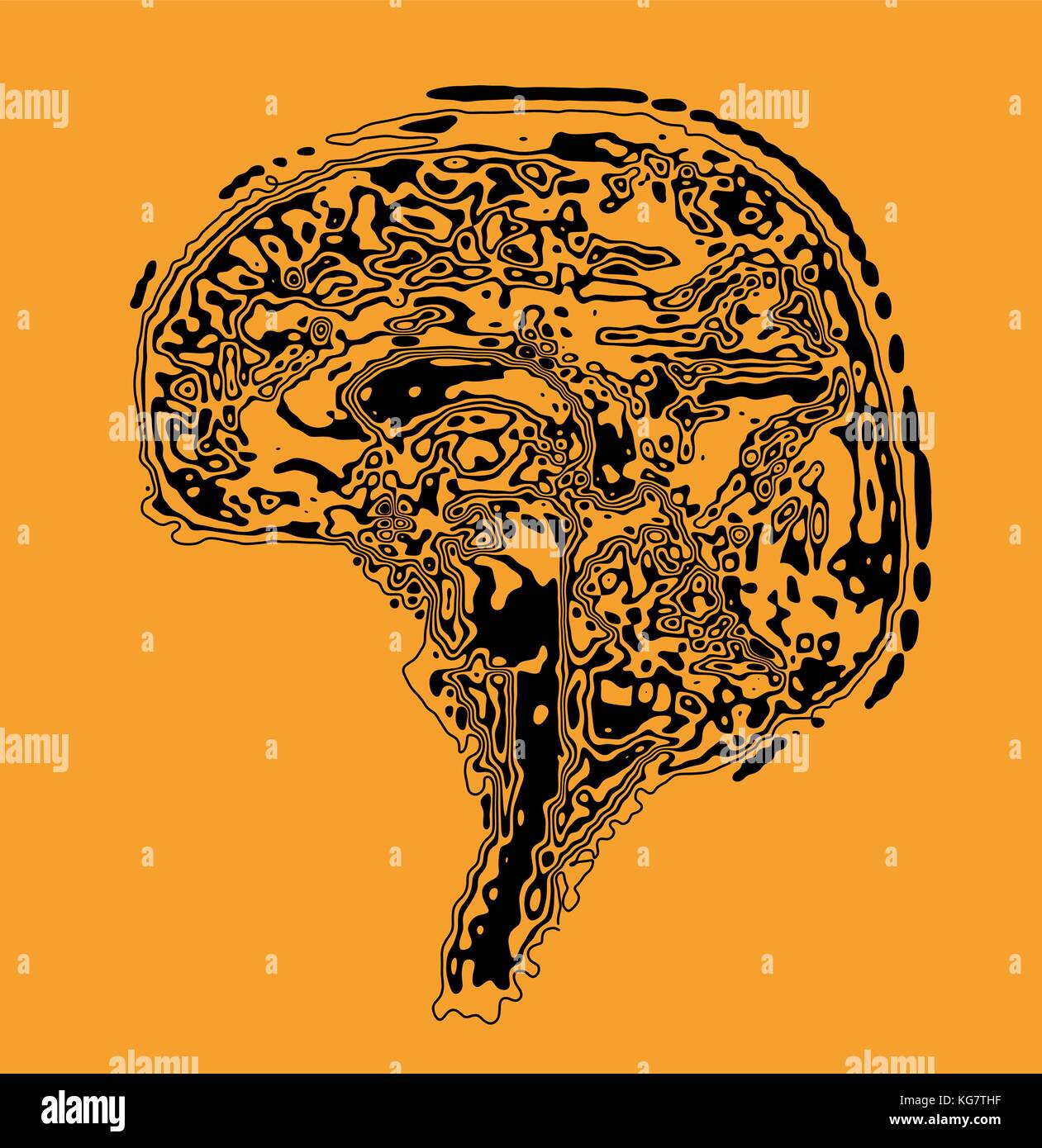The brain in the form of a topographic map. The concept of modern