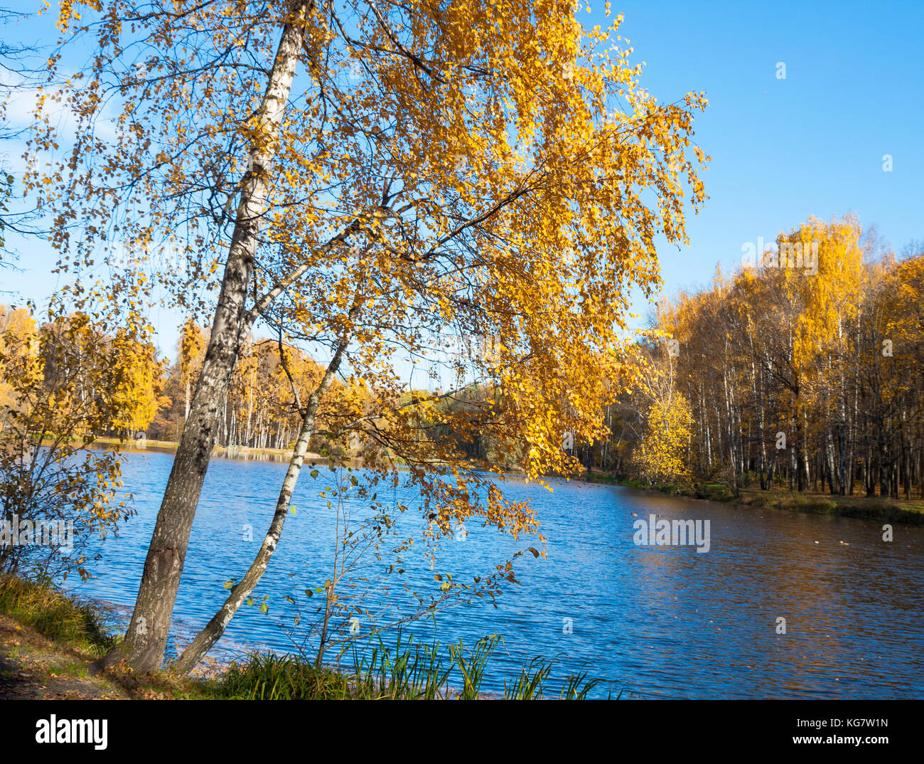 Autumn landscape with lake and beach Stock Photo - Alamy