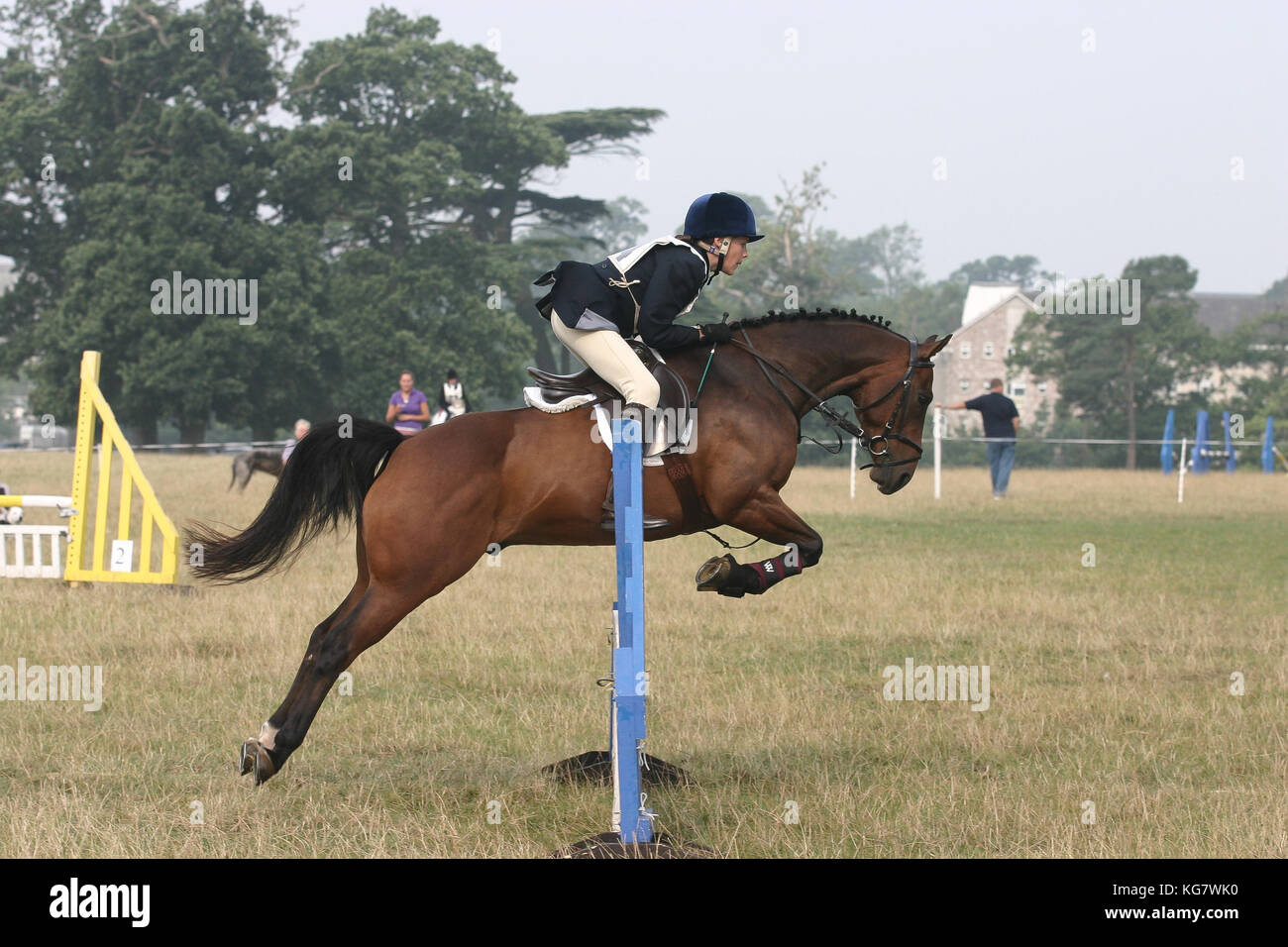 Horse and rider jumping fence Stock Photo - Alamy