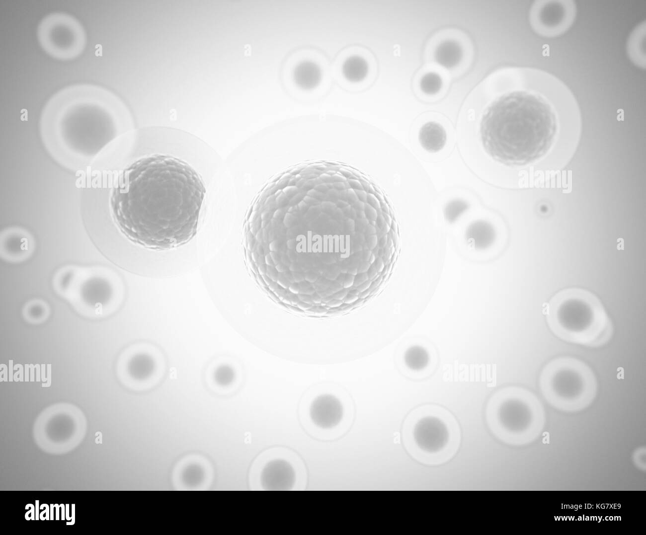 Cells under microscope. Science and medical background. 3D render Stock Photo