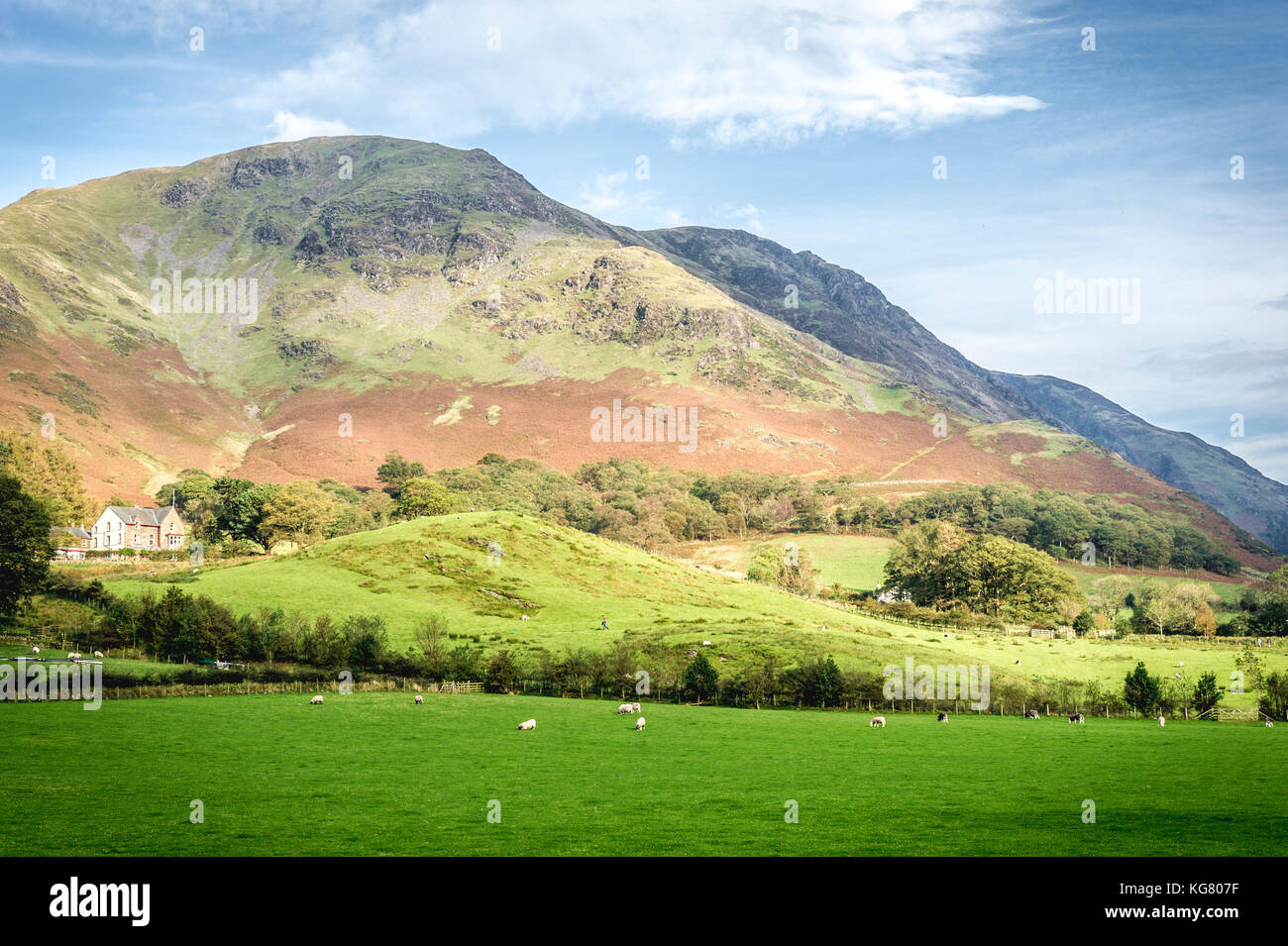 View of a colourful hillside near Coniston in the Lake District Stock Photo