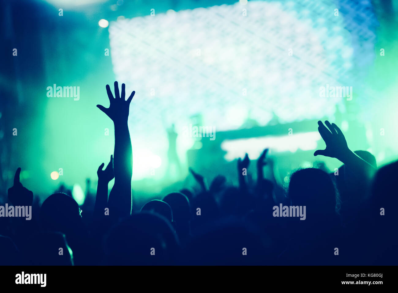 Cheering crowd with hands in air at music festival Stock Photo - Alamy