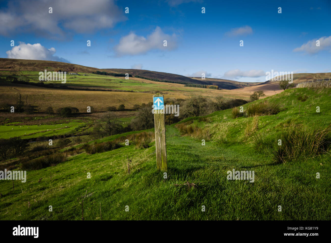 Walking route around Stocks Reservoir, Gisburn Forest, Lancashire, UK. Stock Photo