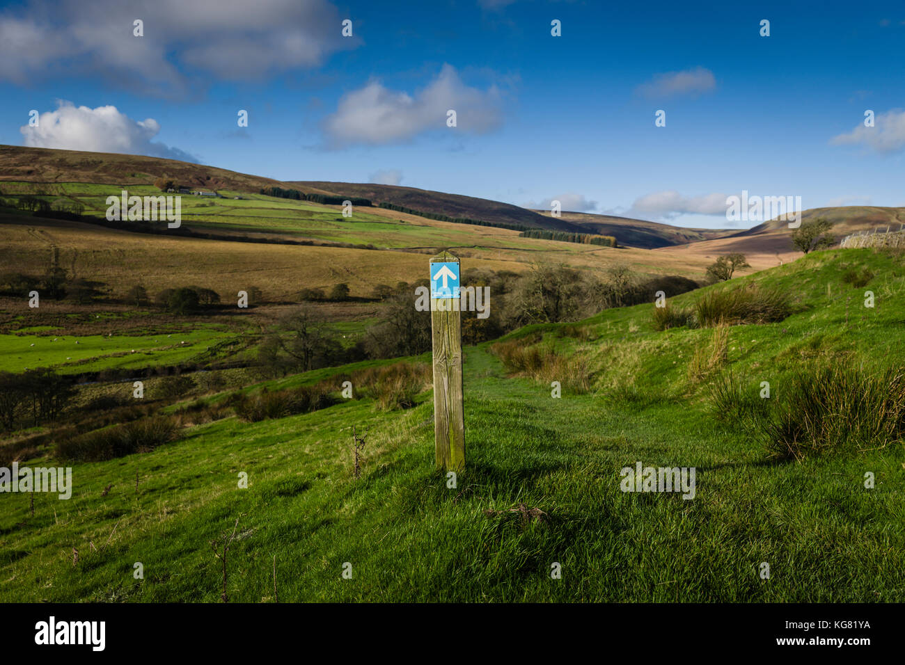 Walking route around Stocks Reservoir, Gisburn Forest, Lancashire, UK. Stock Photo