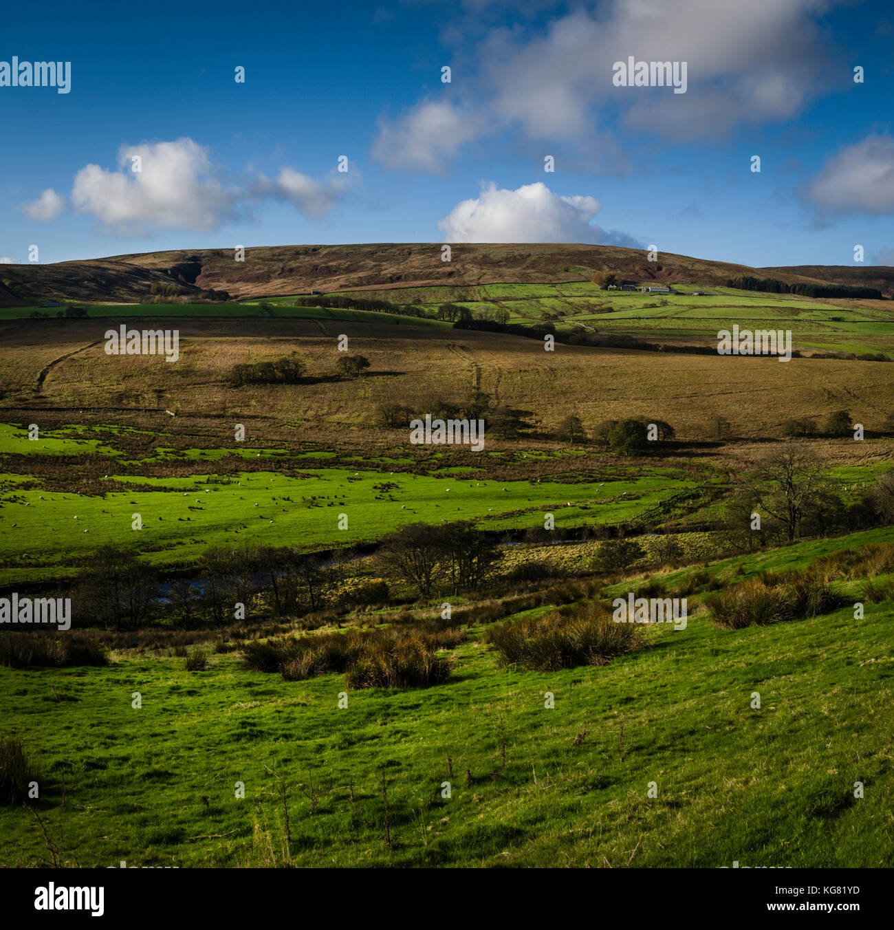 Walking route around Stocks Reservoir, Gisburn Forest, Lancashire, UK. Stock Photo