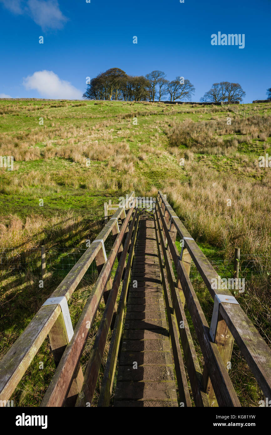 Walking route around Stocks Reservoir, Gisburn Forest, Lancashire, UK. Stock Photo