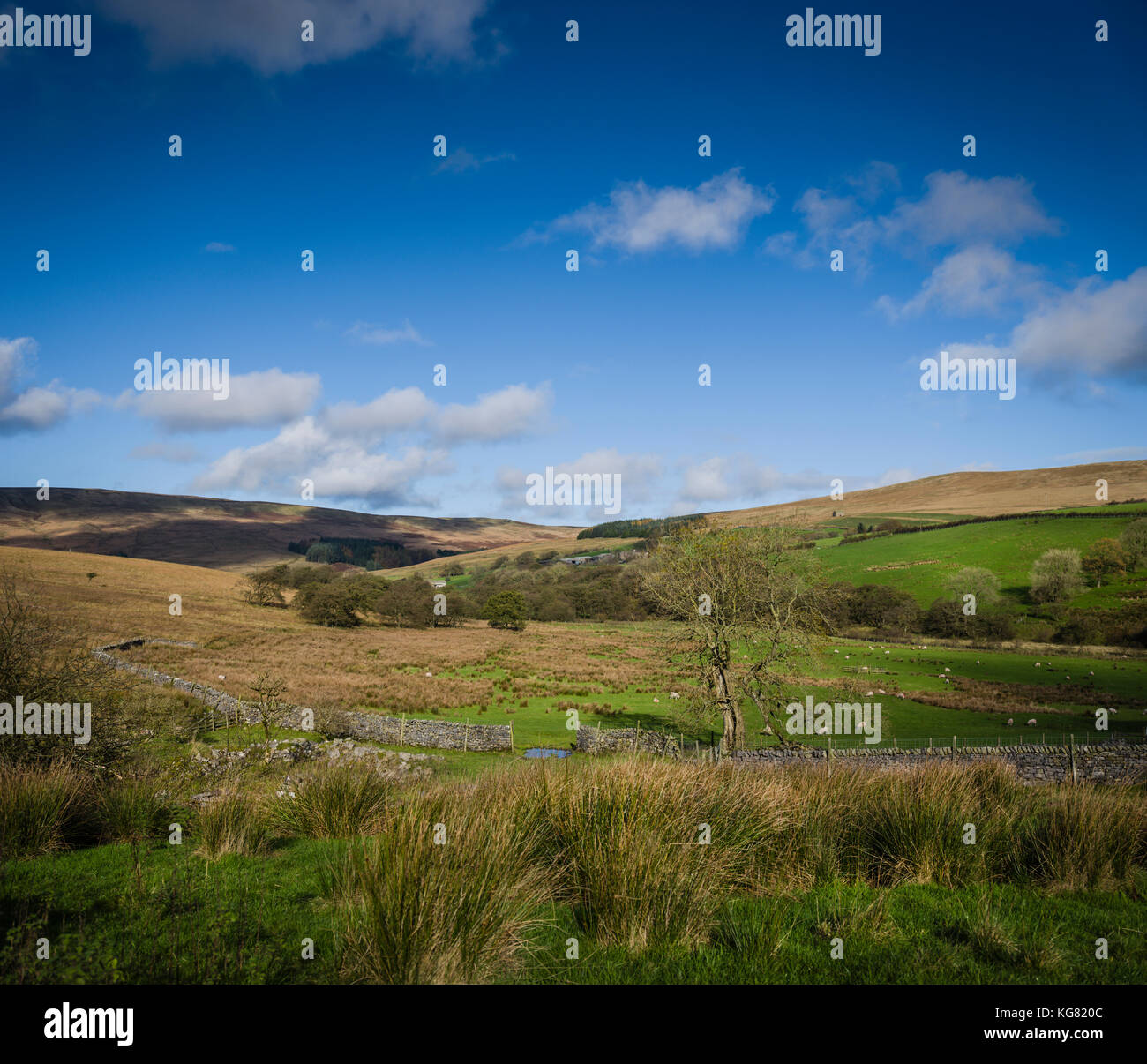 Walking route around Stocks Reservoir, Gisburn Forest, Lancashire, UK. Stock Photo