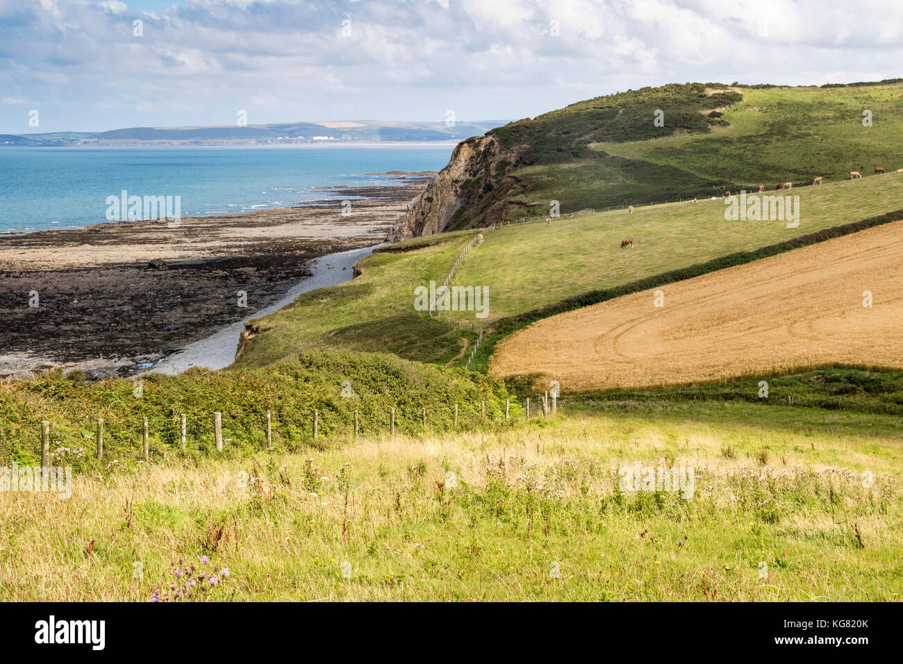 Greencliff; Low Tide View Looking North Across the Pebble Beach and