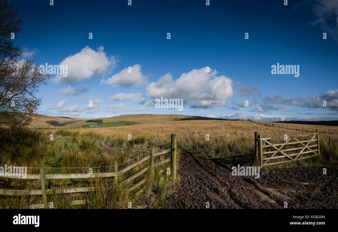 Walking route around Stocks Reservoir, Gisburn Forest, Lancashire, UK. Stock Photo