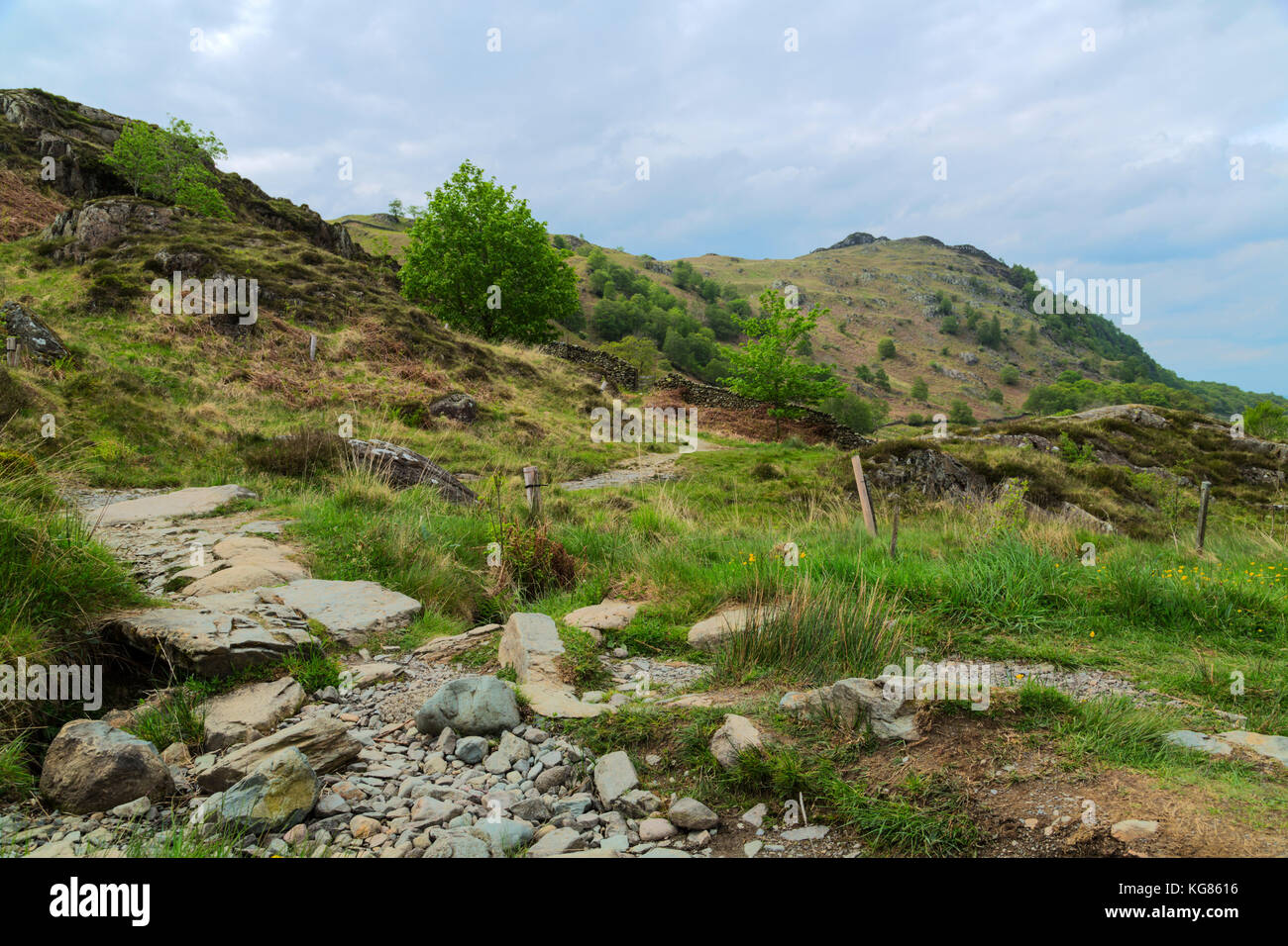 Rural scene at Watendlath in the Lake District Stock Photo