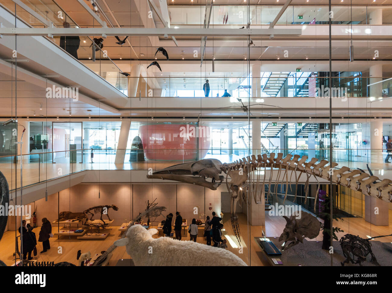 Renzo piano building hi-res stock photography and images - Page 3 - Alamy