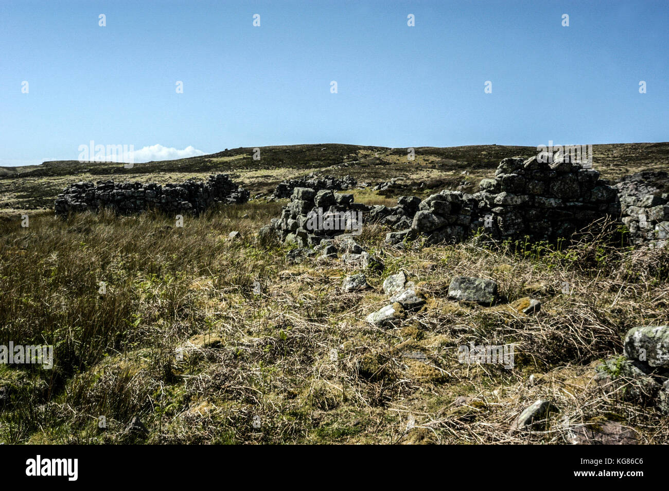 The barren landscape of the inhabited Handa Island and some of the ruins of crofters’ cottages is owned by Dr.Jean Balfore, and managed by the Scottis Stock Photo