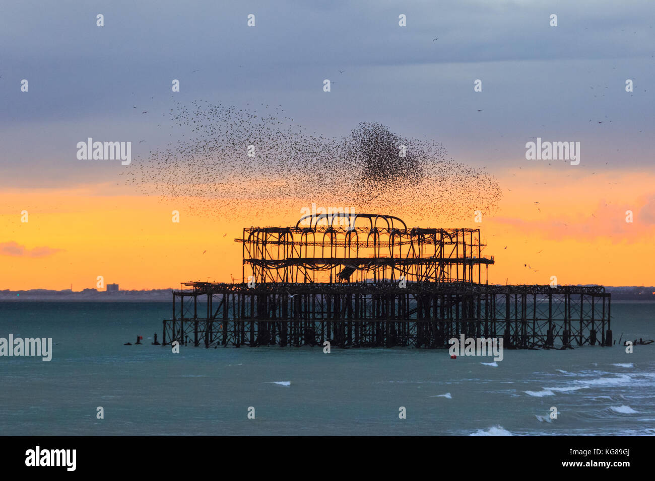 Brighton, UK, 4th November 2017. A flock of thousands of starlings forms murmurations above the sea and derelict West Pier in Brighton, East Sussex. UK starlings flock in large numbers every autumn as the days get colder, before forming large communal roosts during the cold winter months. Credit: Imageplotter News and Sports/Alamy Live News Stock Photo
