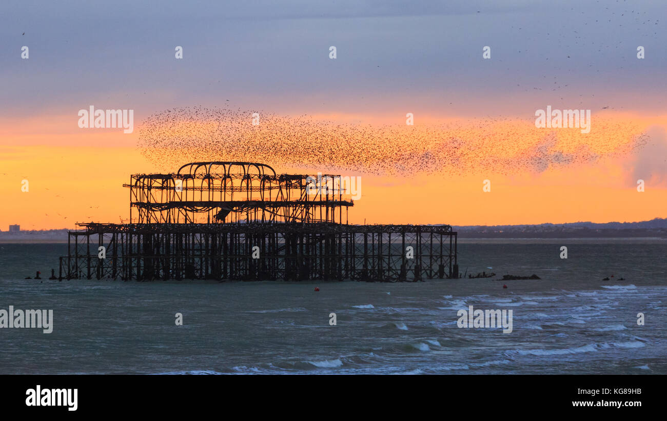 Brighton, UK, 4th November 2017. A flock of thousands of starlings forms murmurations above the sea and derelict West Pier in Brighton, East Sussex. UK starlings flock in large numbers every autumn as the days get colder, before forming large communal roosts during the cold winter months. Credit: Imageplotter News and Sports/Alamy Live News Stock Photo