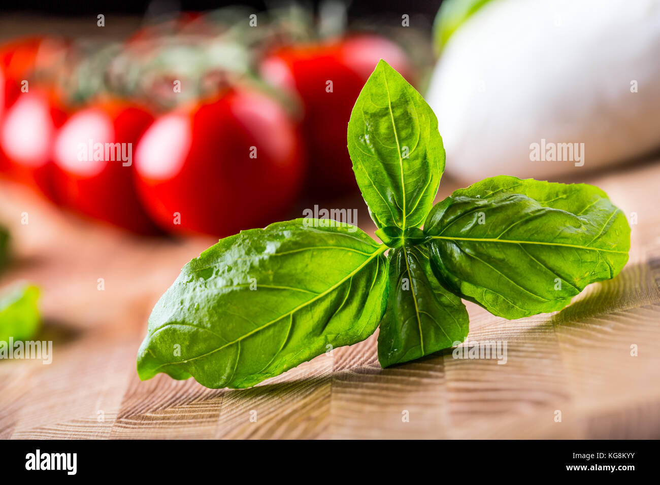 Basil. Fresh green basil leaves with tomatoes Stock Photo - Alamy