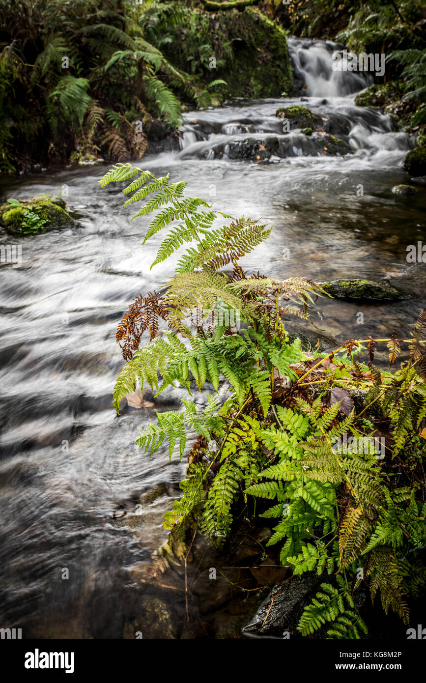 River flowing over rocks into Derwentwater in the Lake District National Park, Cumbria, England Stock Photo