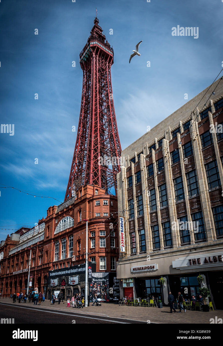 A seagull flies past the iconic Blackpool Tower Stock Photo