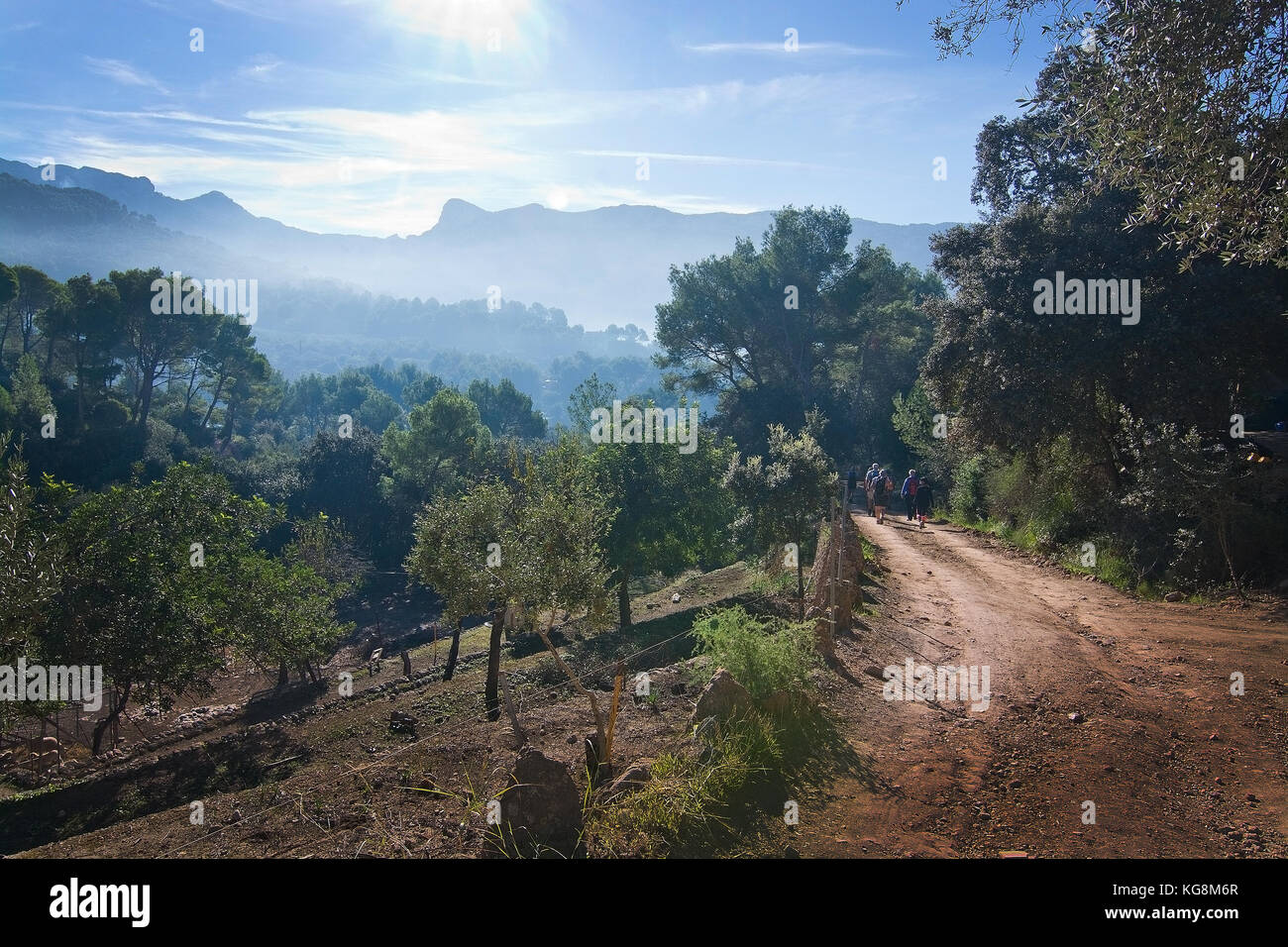 Landscape view in the Tramuntana mountains near Soller, Mallorca, Spain. Stock Photo