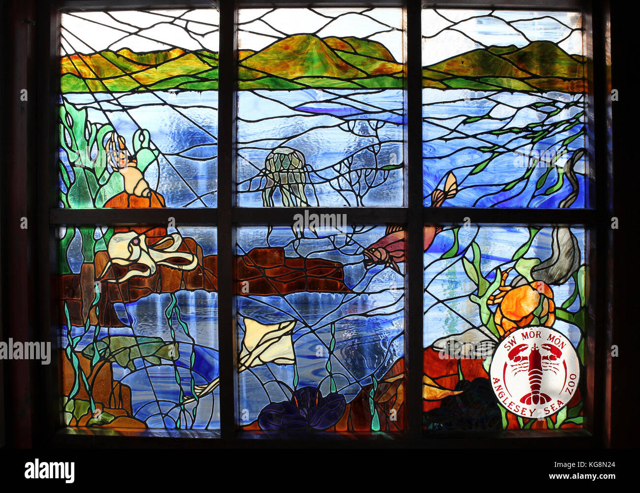 Stained Glass Window Depicting Irish Sea Marine Life at Anglesey Sea Zoo Stock Photo