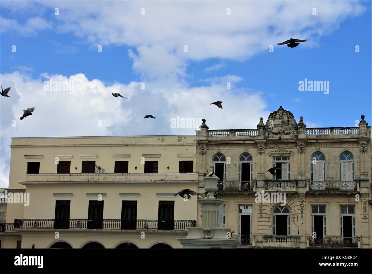 Birds flying past old buildings, Old Square, Havana, Cuba. Stock Photo