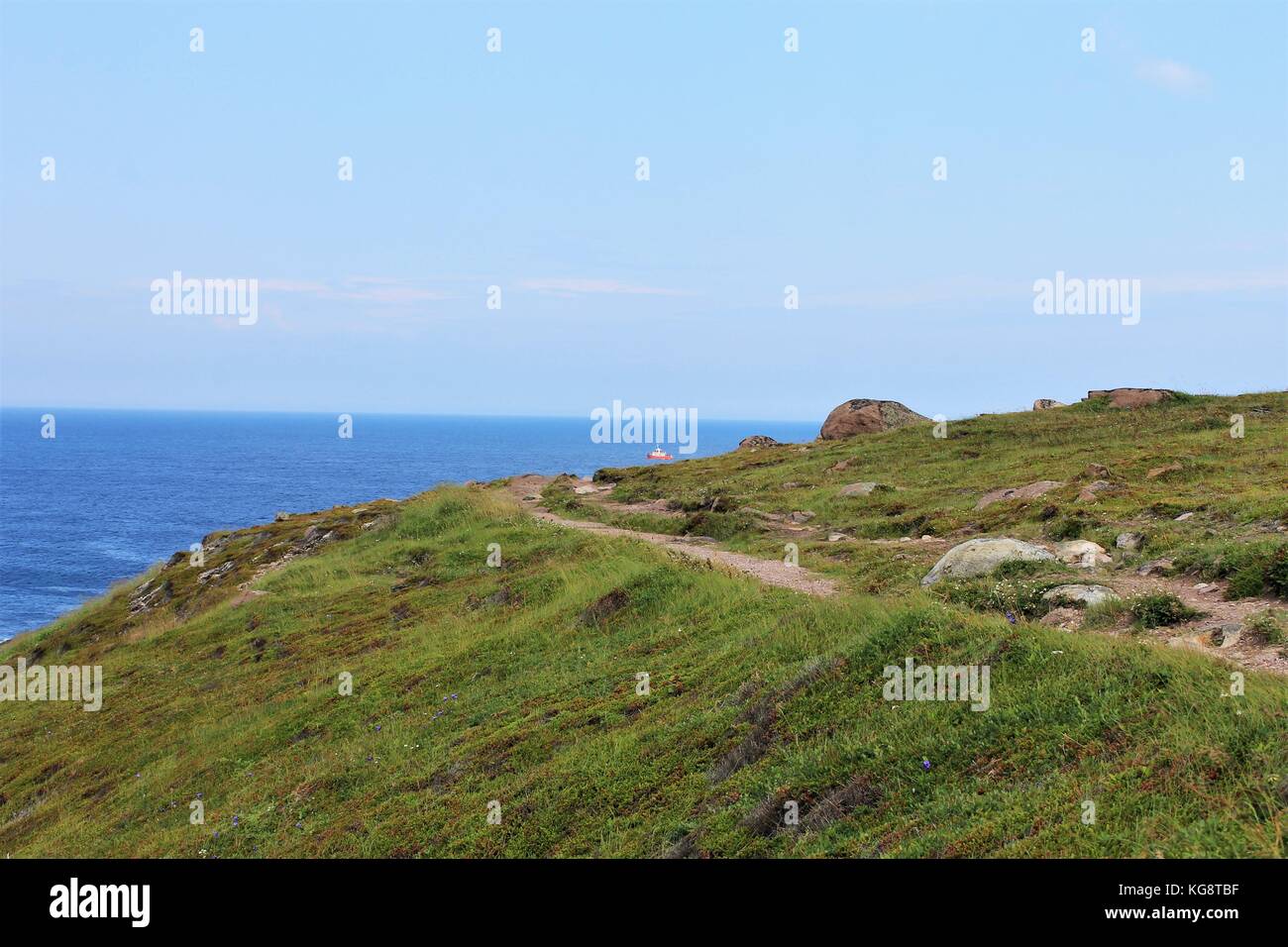 cape spear trail