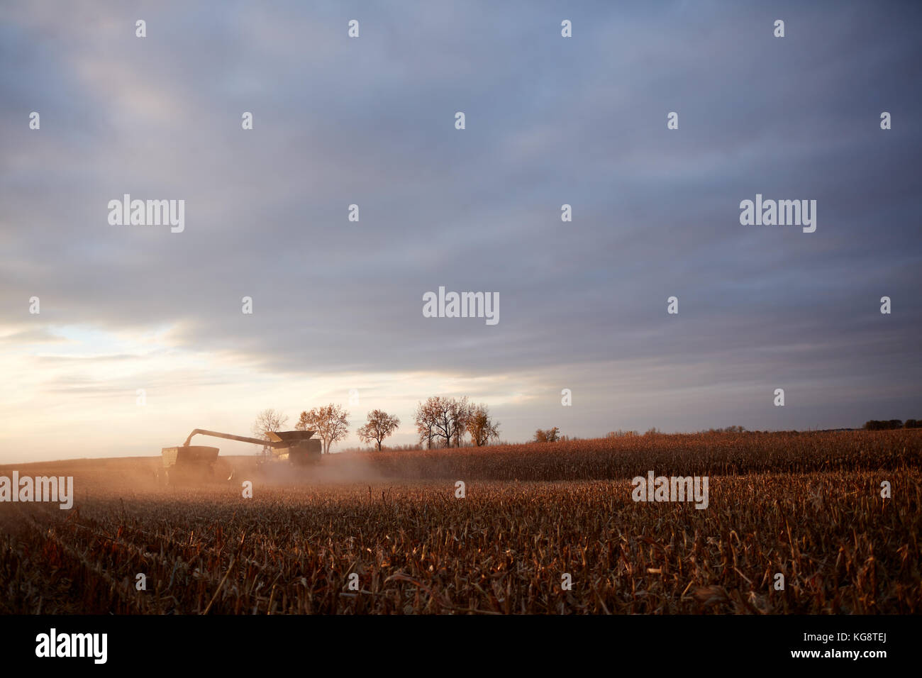 Skyline Combine Harvester High Resolution Stock Photography and Images ...