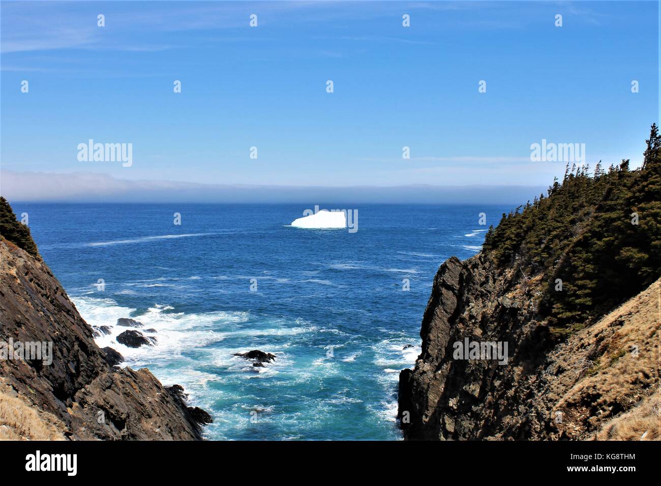 Iceberg in the bay, Torbay, Newfoundland Labrador Stock Photo Alamy