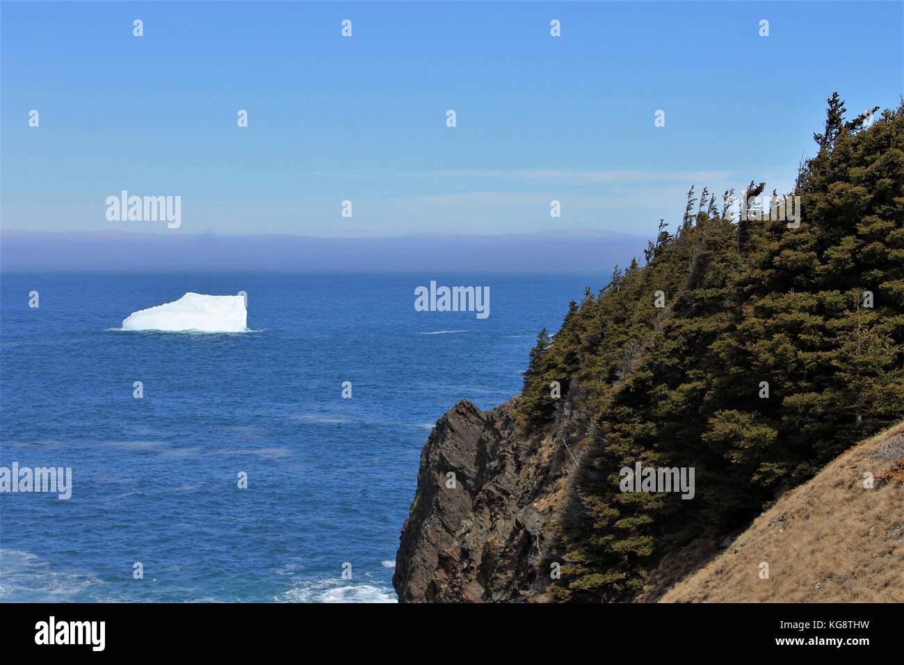 Iceberg in the bay, Torbay, Newfoundland Labrador Stock Photo Alamy