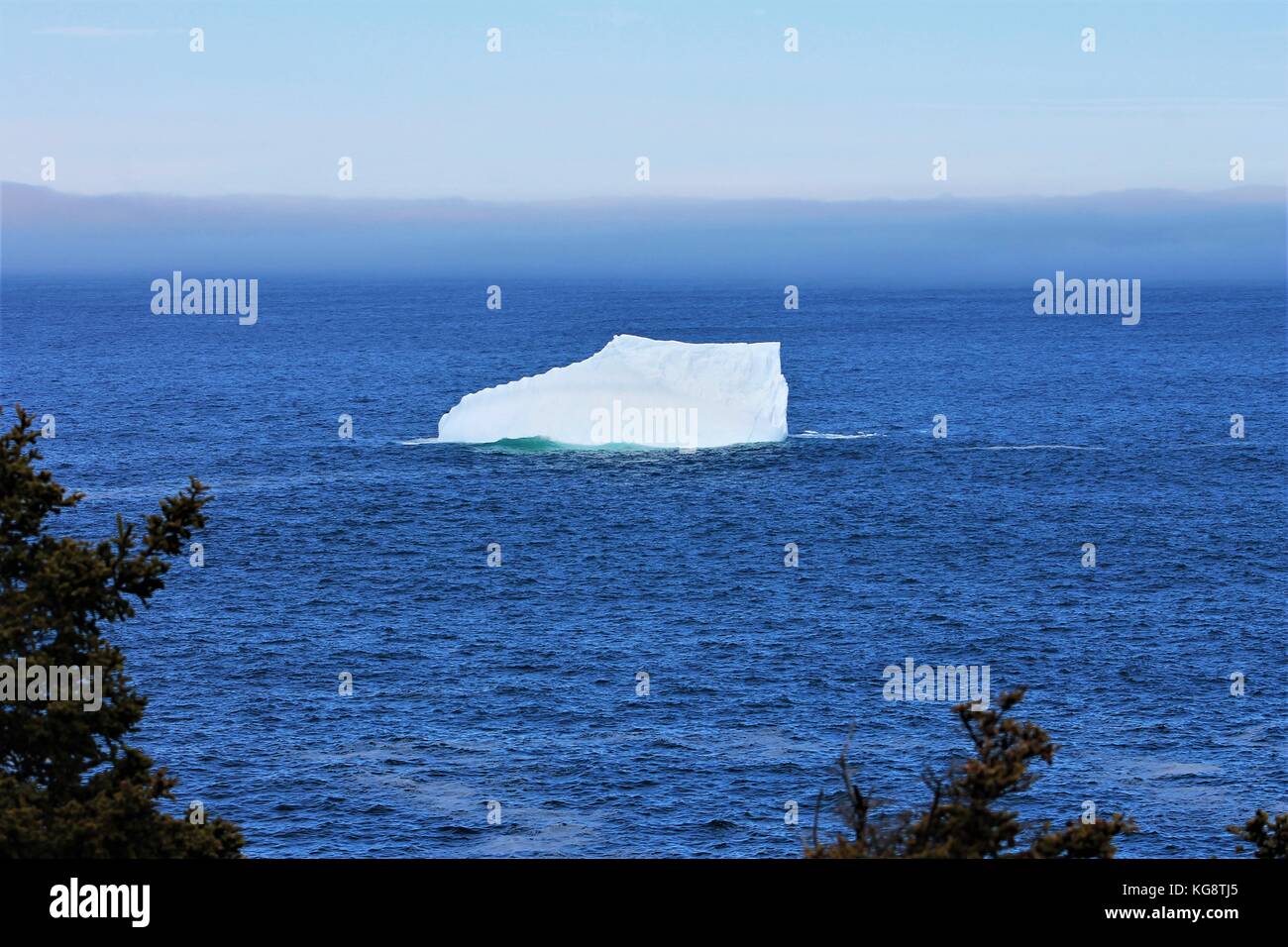 Iceberg in the bay, Torbay, Newfoundland Labrador Stock Photo Alamy