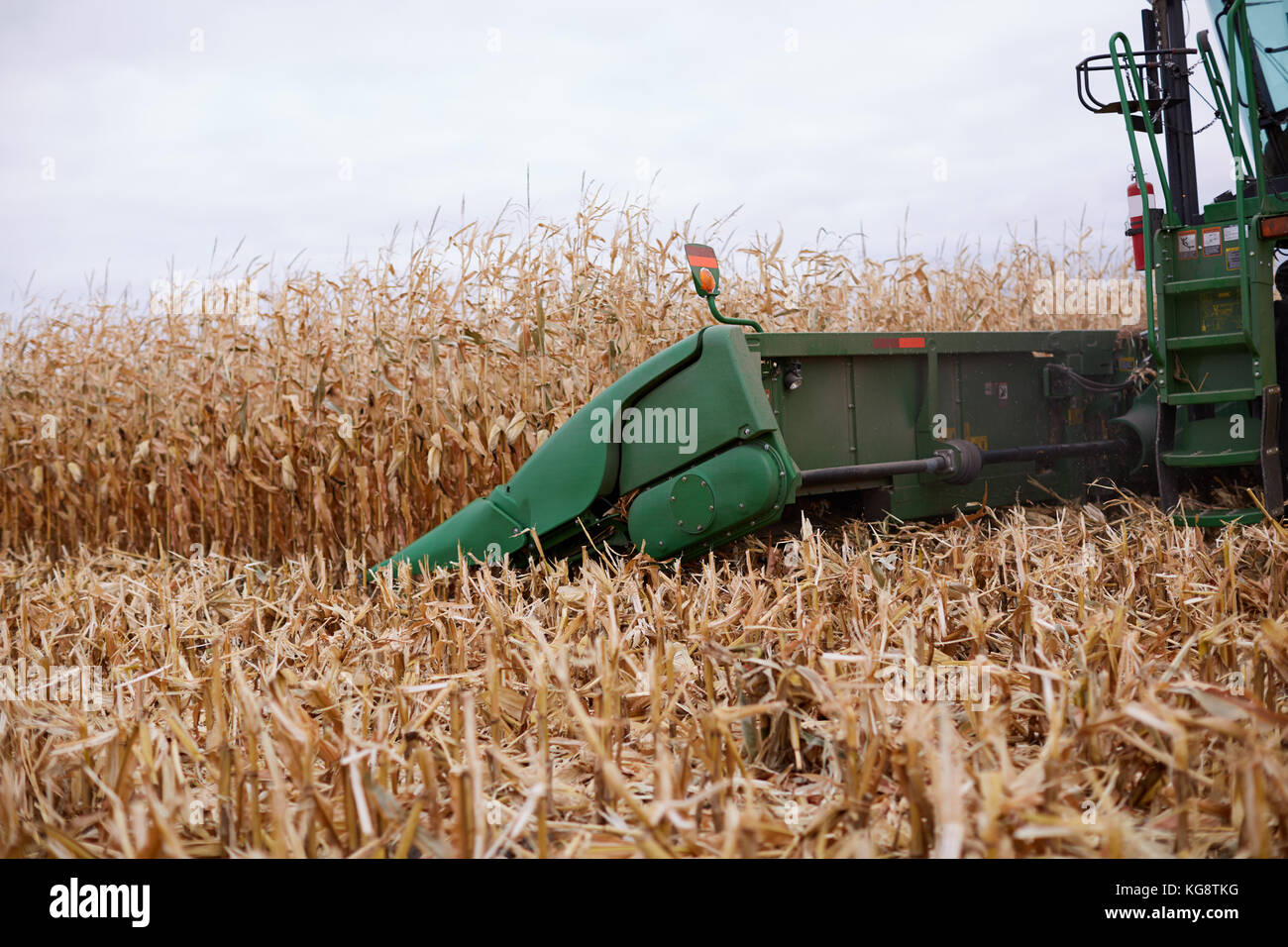 Detail of the cutters and cutter bar on a combine harvester harvesting
