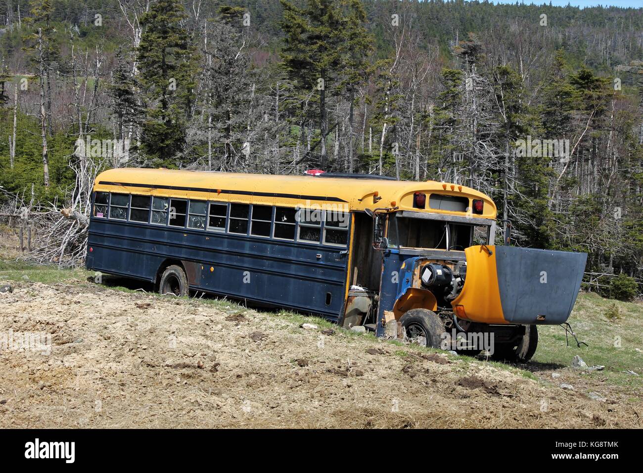 Old, abandoned, and dilapidated school bus in a field, Torbay, Newfoundland and Labrador, Canada. Stock Photo