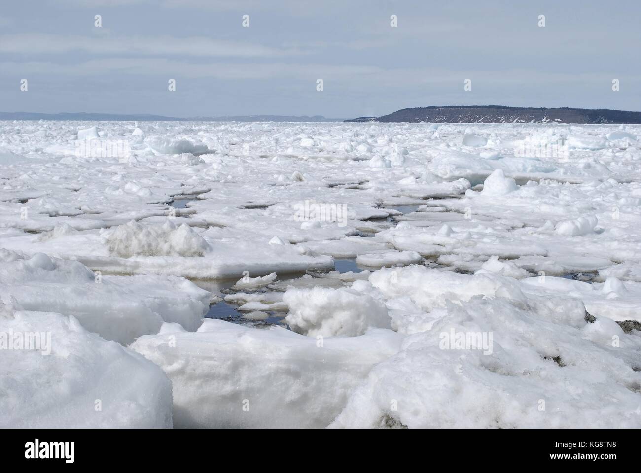Pack Ice in the bay, Conception Bay South, Newfoundland Labrador Stock Photo