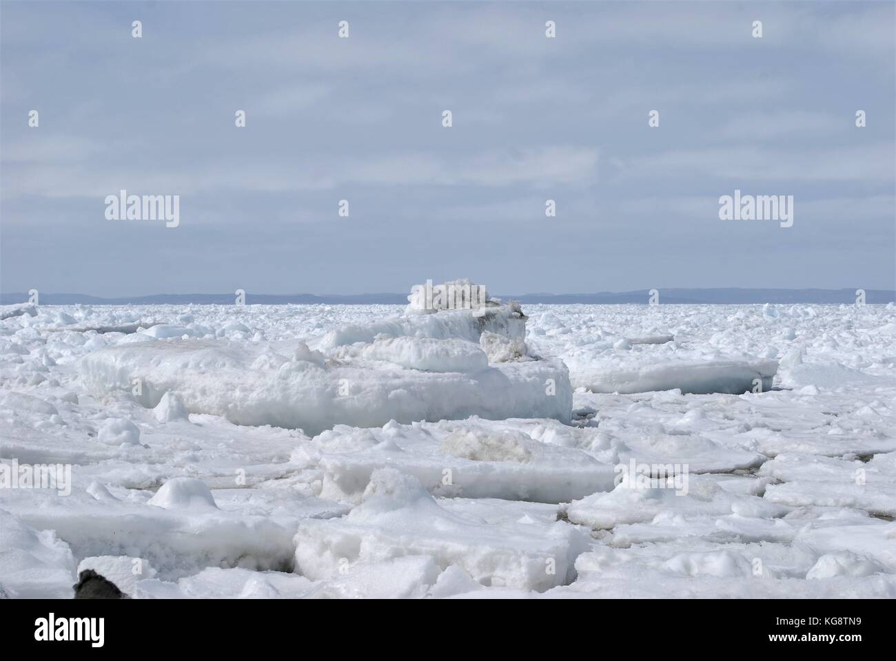 Pack Ice in the bay, Conception Bay South, Newfoundland Labrador Stock Photo