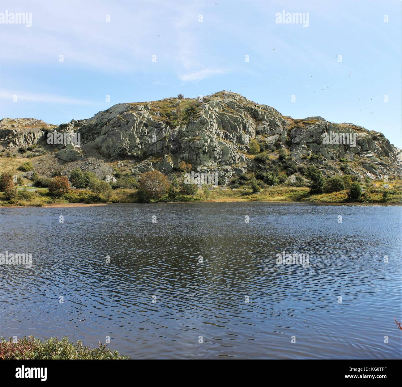 Looking across Dead Man's Pond at Gibbet Hill, Signal Hill, St. John's